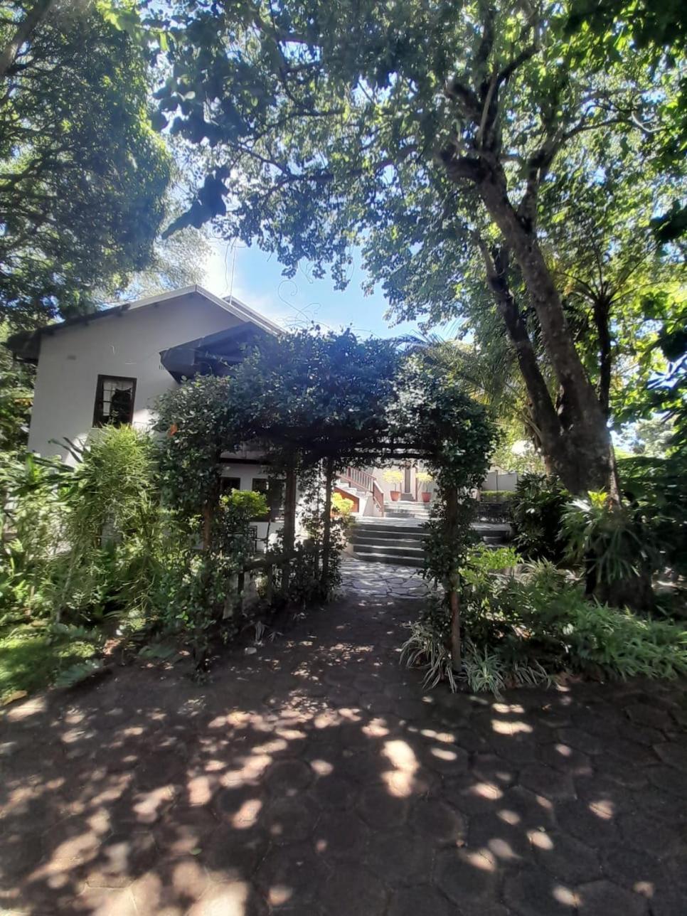 ריצ'רדס ביי Figtree Lane Lodge מראה חיצוני תמונה